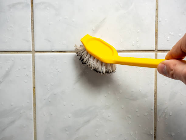 Best Mold Testing  in Lakeland, TN
